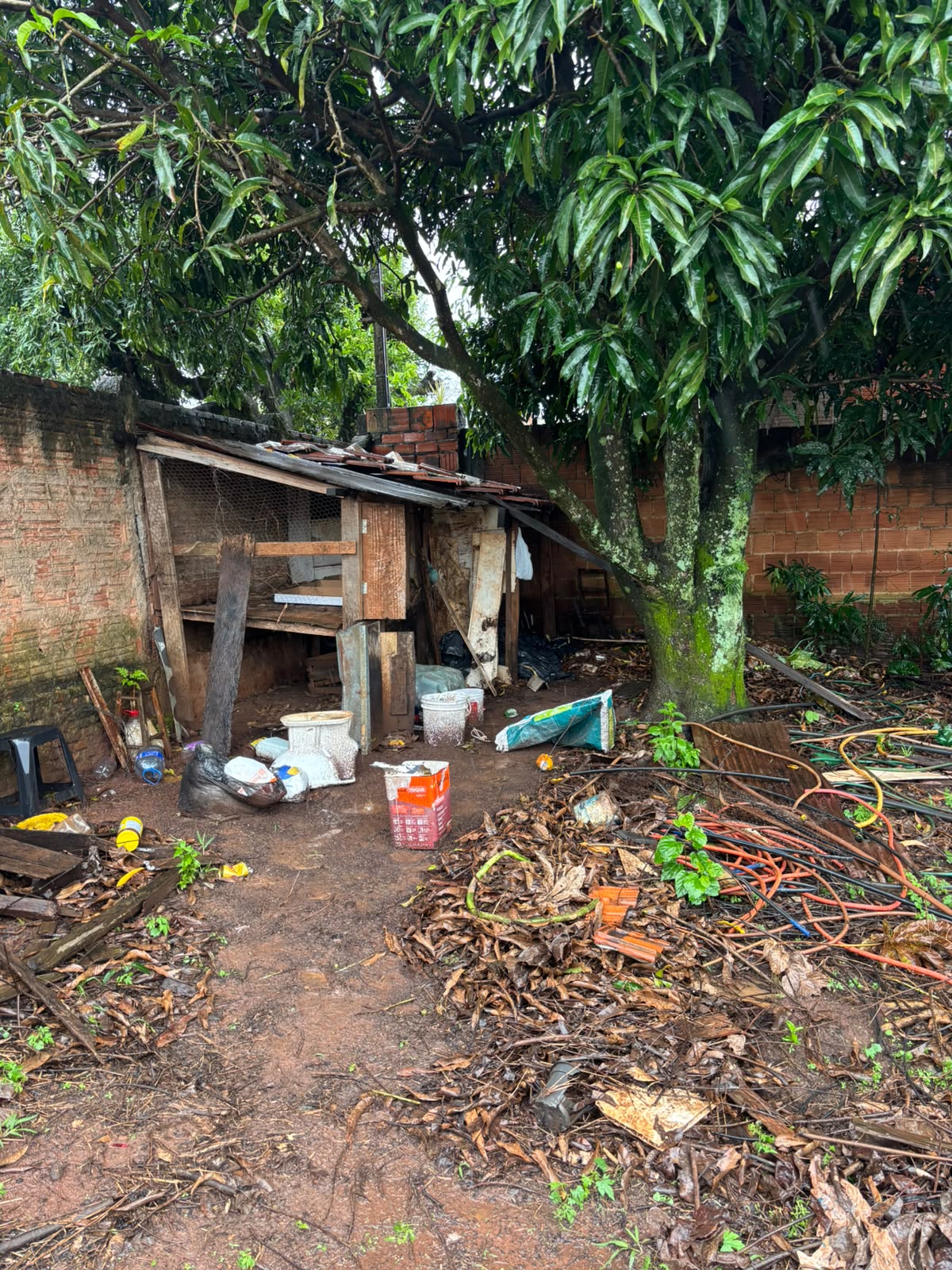 Homem Vive Sob Chuva E Sem Saneamento